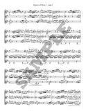 Sonata in G Minor for Saxophone Trio (ATB)