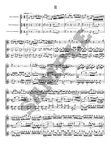 Sonata in G Minor for Saxophone Trio (ATB)