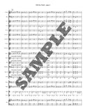 Old Joe Clark for Concert Band